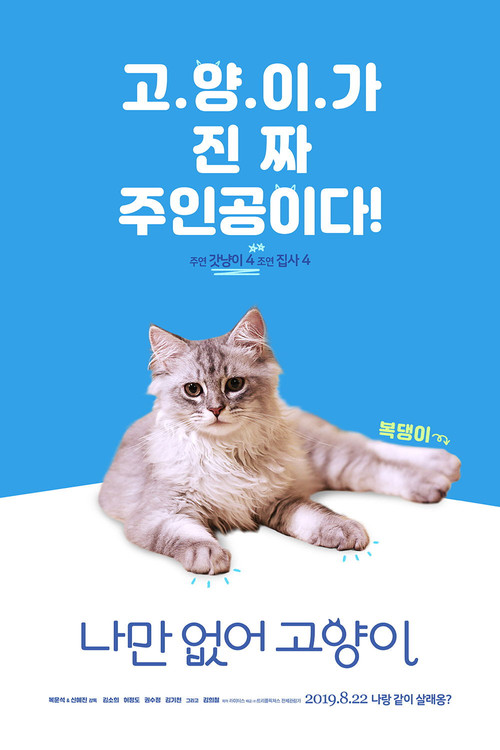 只有我没有猫