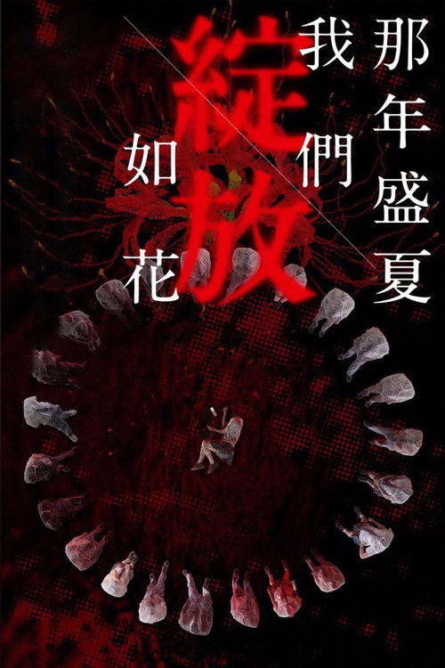 那年盛夏 我们绽放如花
