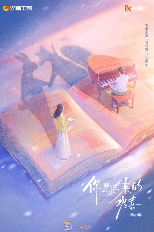你是迟来的欢喜