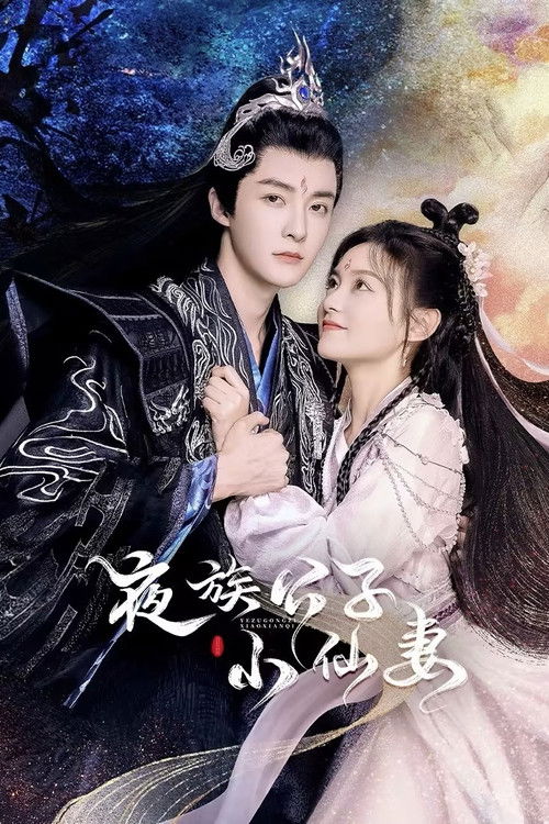 夜族公子小仙妻