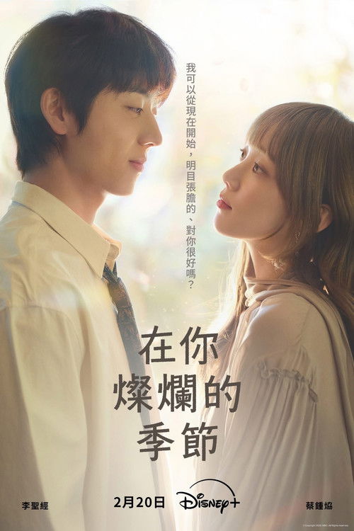 在你灿烂的季节