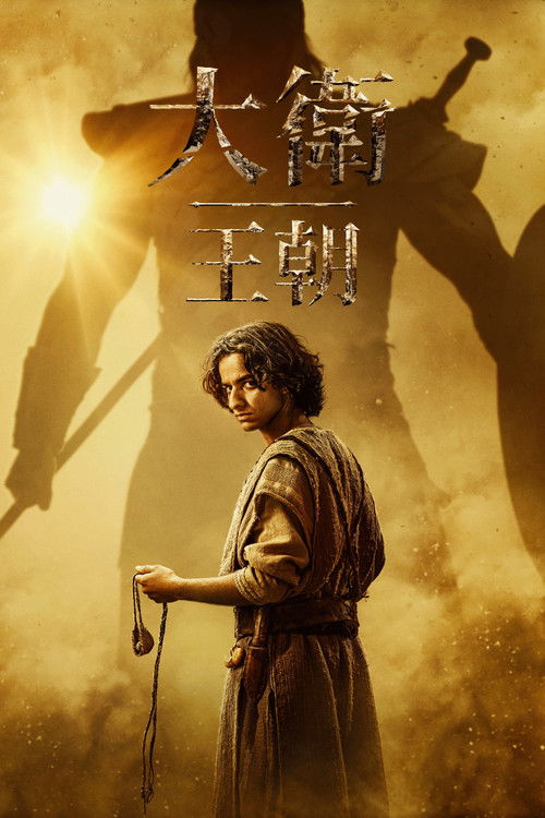 大卫王朝