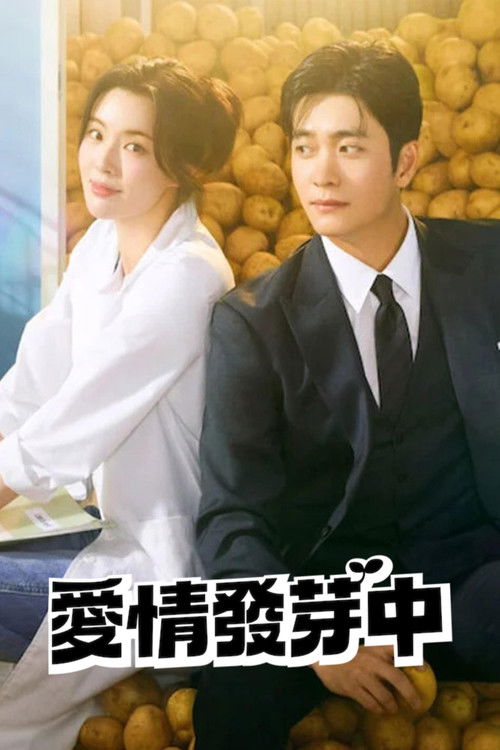 爱情发芽中