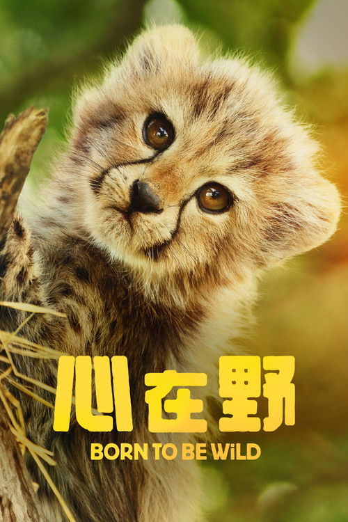 生而狂野