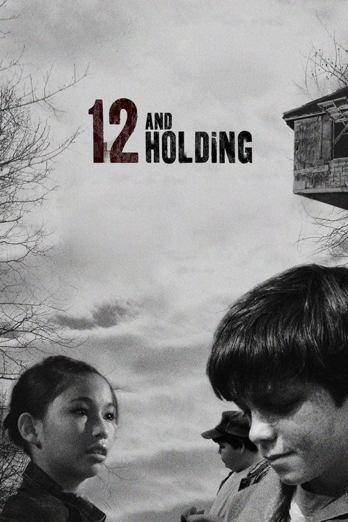 12岁的少年
