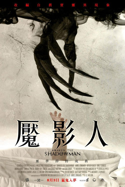 唤醒夜影人