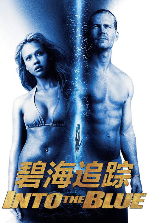 碧海追踪