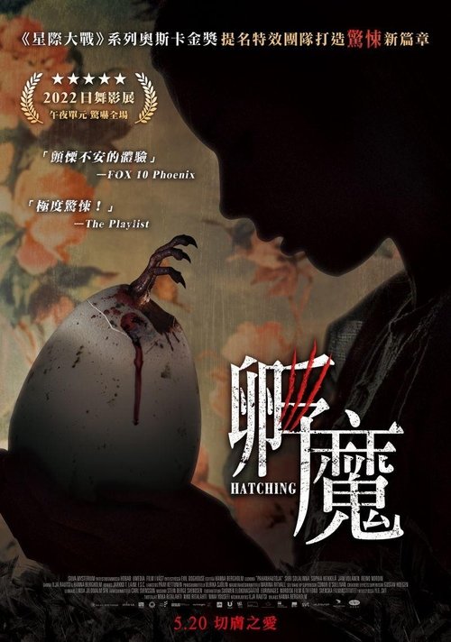 孵化