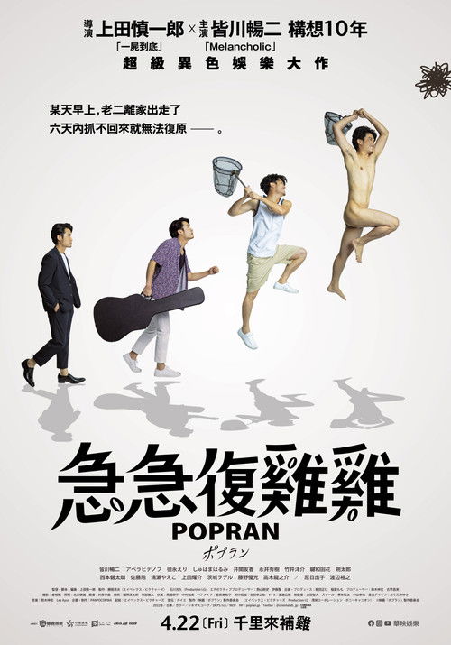 波普兰
