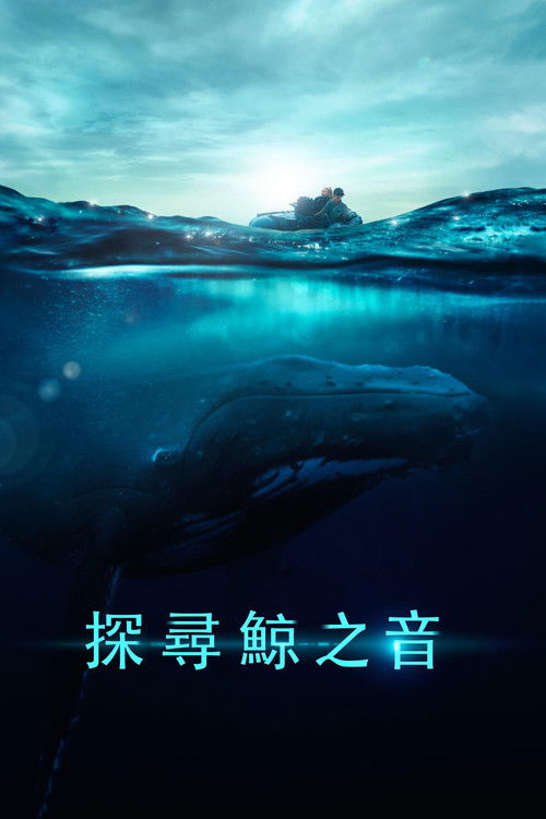 探寻鲸之音