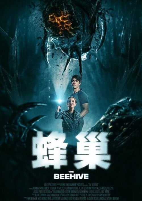 蜂巢