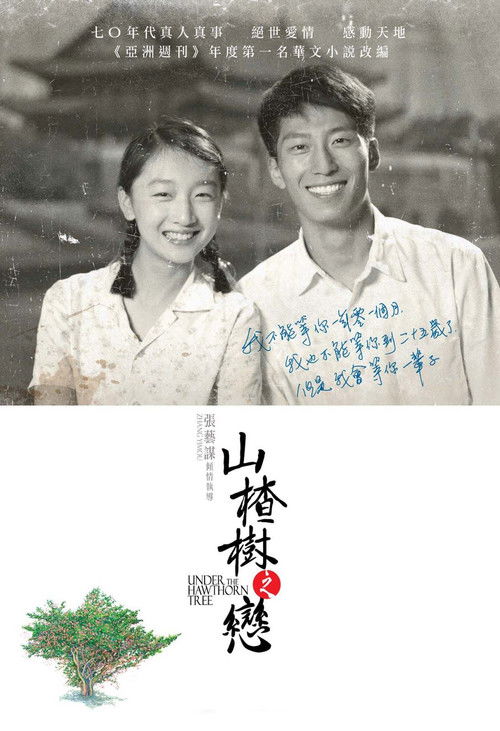 山楂树之恋