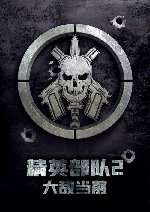精英部队2：大敌当前