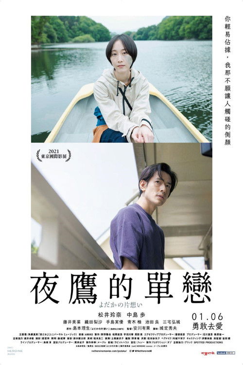 夜鹰的单相思