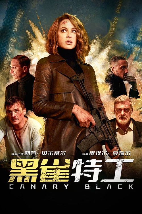 黑雀特工
