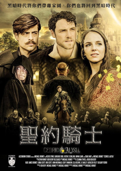 圣约骑士