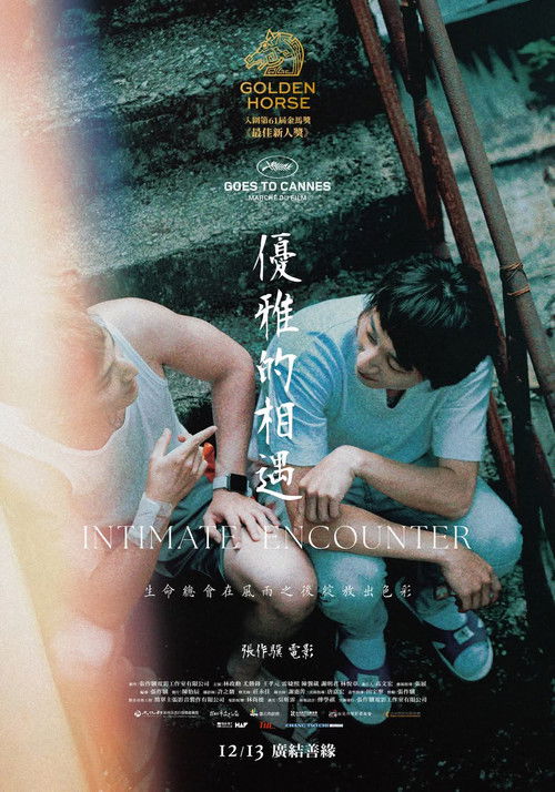 优雅的相遇