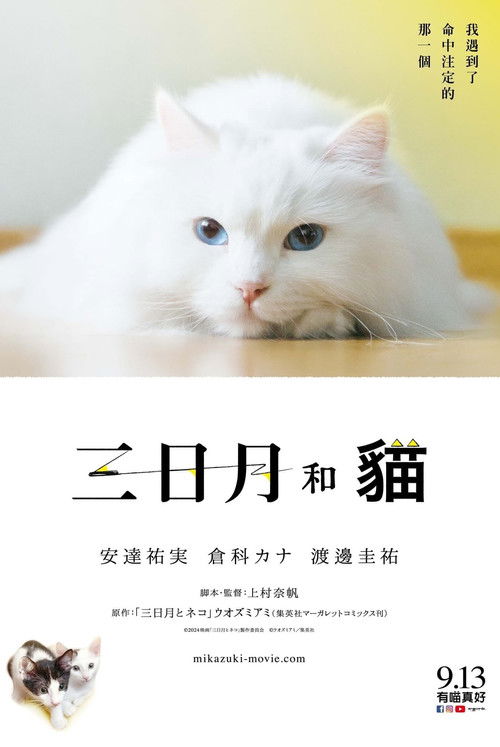 三日月与猫