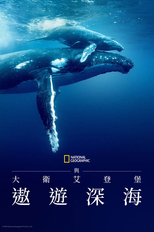 大卫·爱登堡：海洋