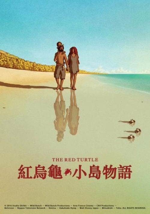 红海龟