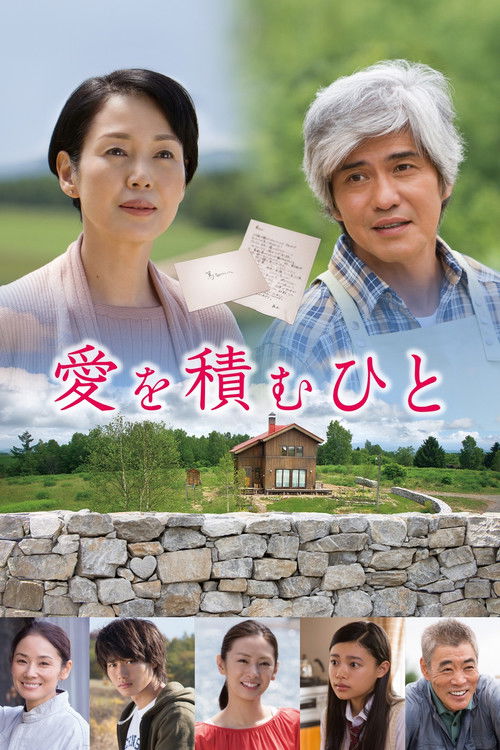 积爱之人