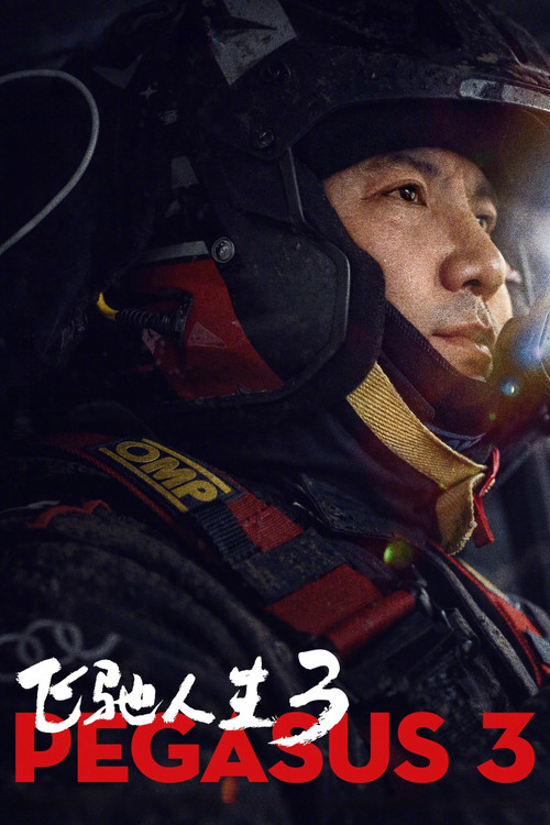 飞驰人生3