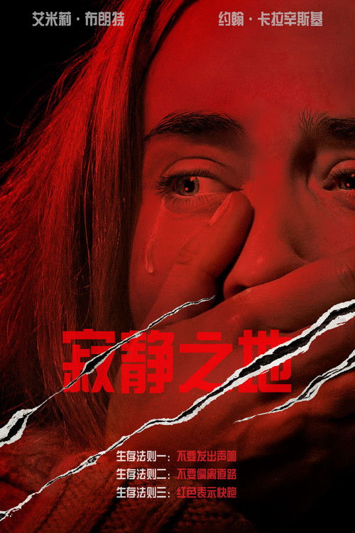 寂静之地