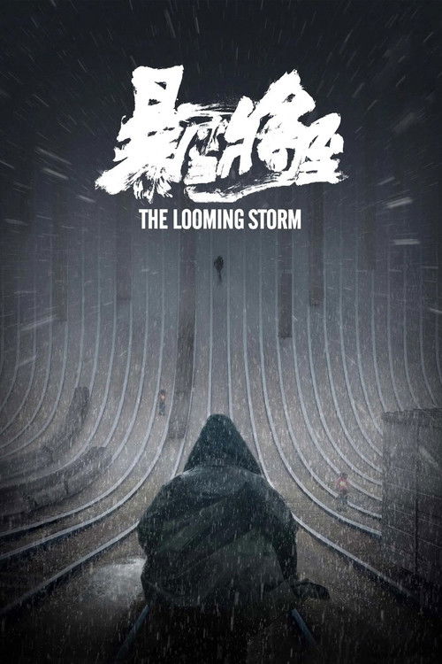 暴雪将至
