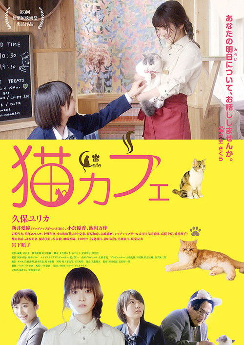 猫咪咖啡厅