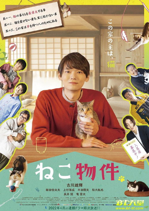 猫咪合租屋