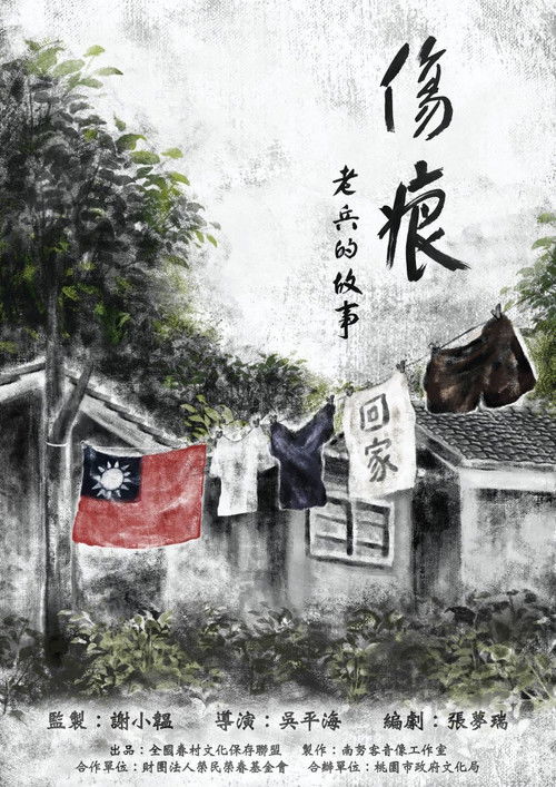 伤痕——老兵的故事